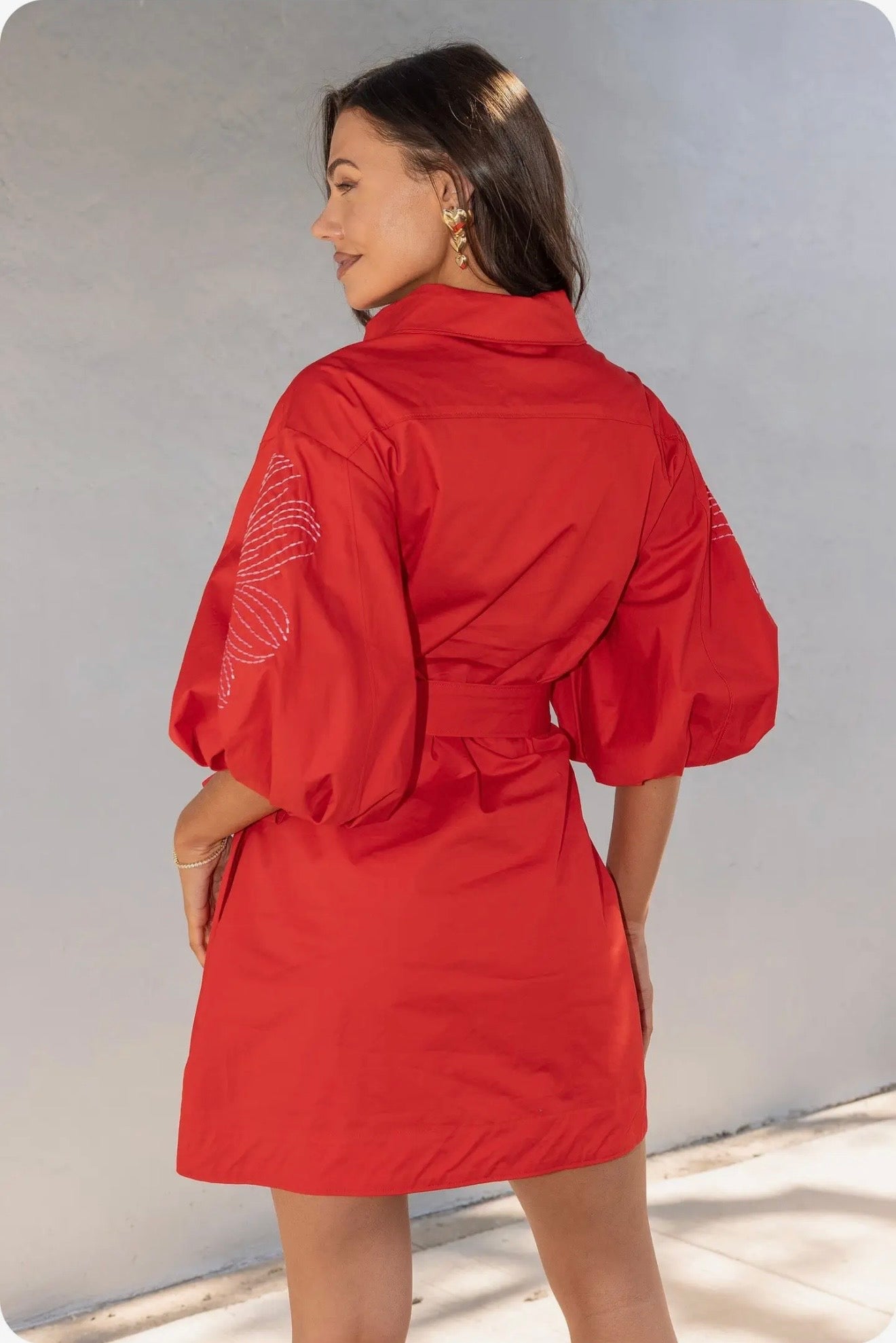 Embroidered Puff Sleeve Belted Mini Dress
