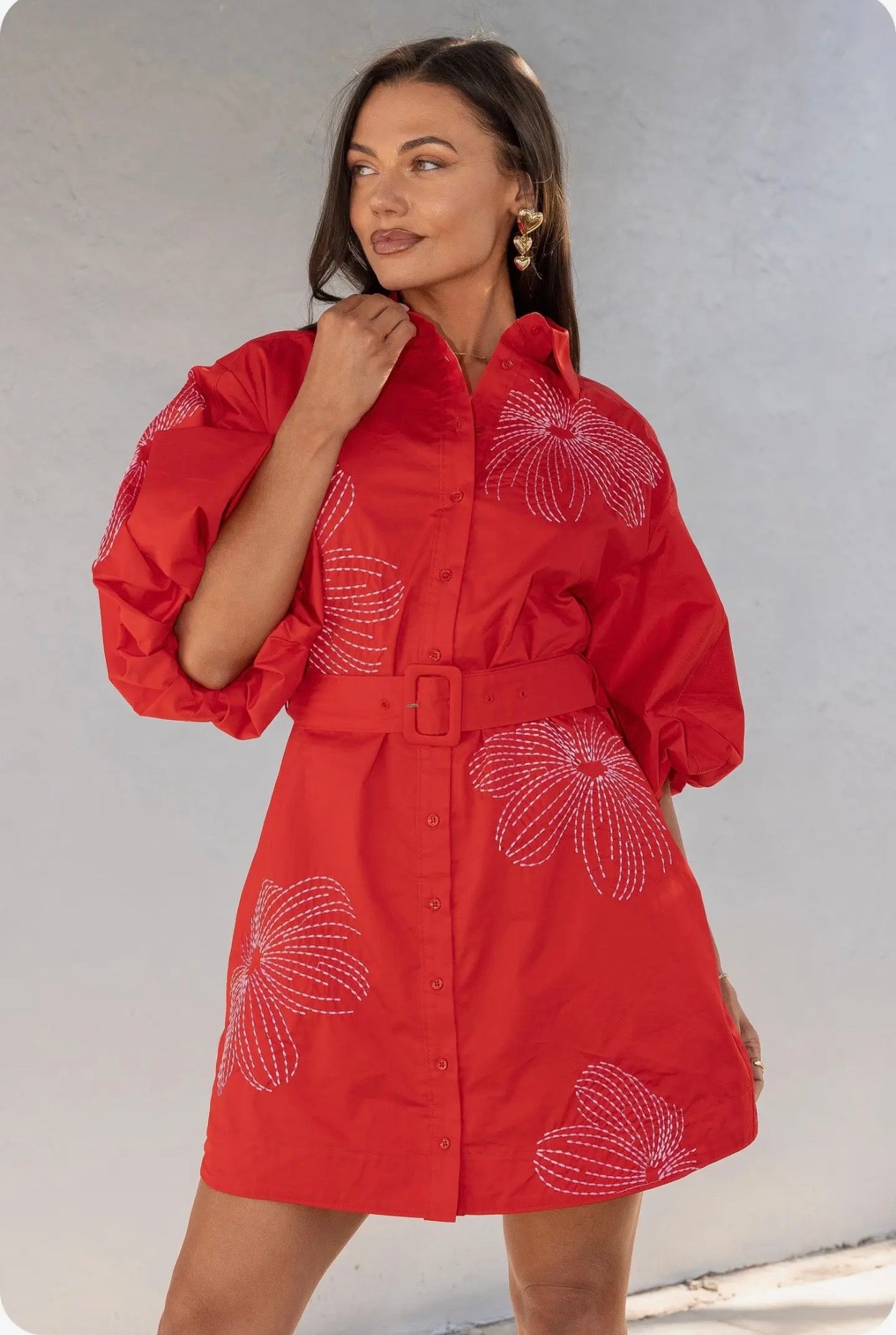 Embroidered Puff Sleeve Belted Mini Dress