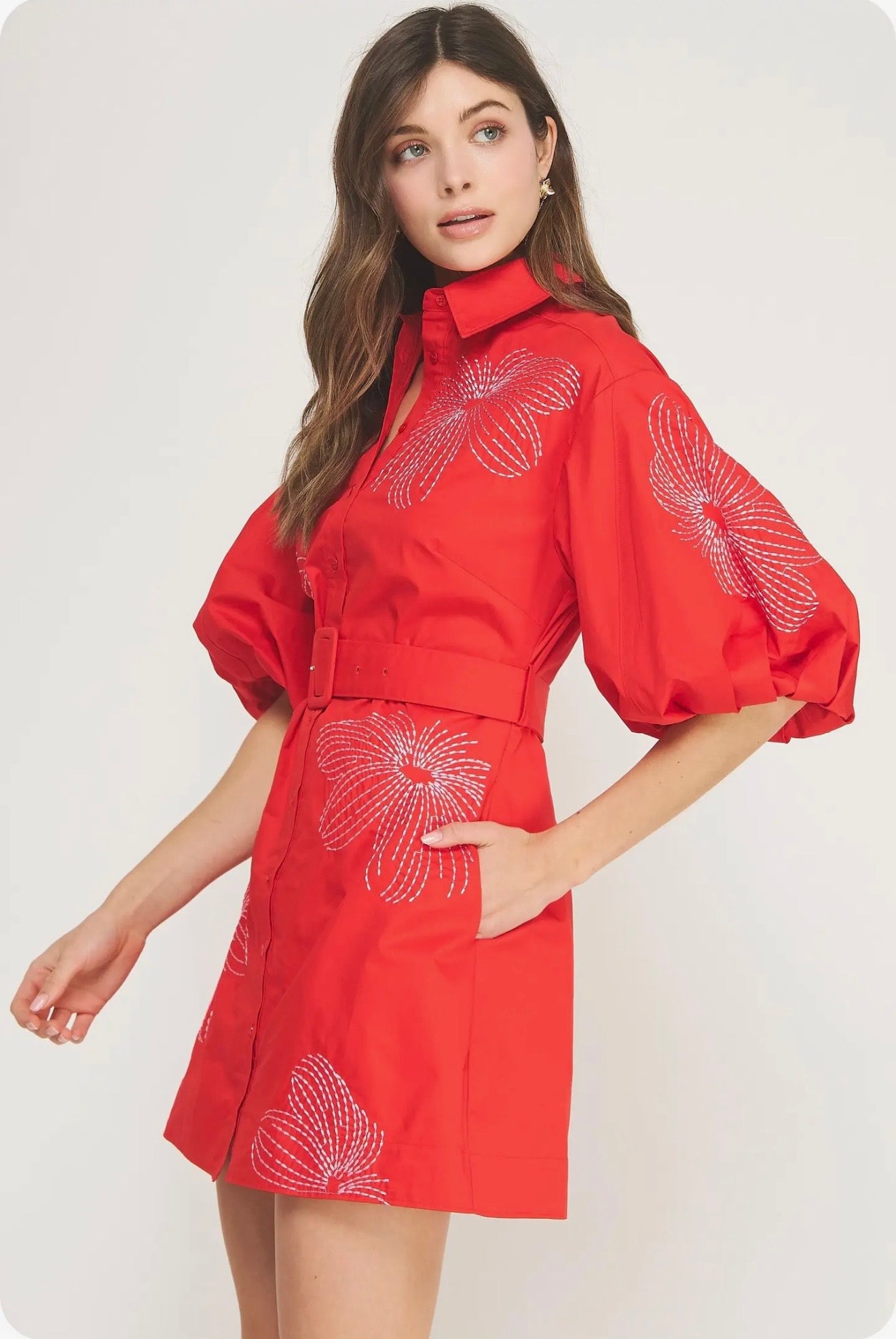 Embroidered Puff Sleeve Belted Mini Dress