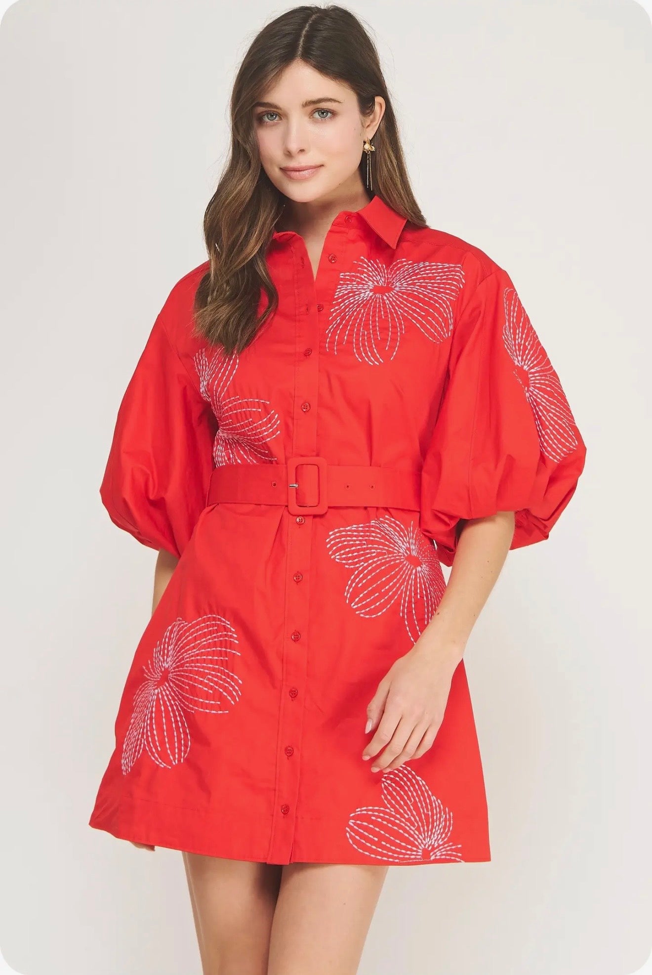 Embroidered Puff Sleeve Belted Mini Dress