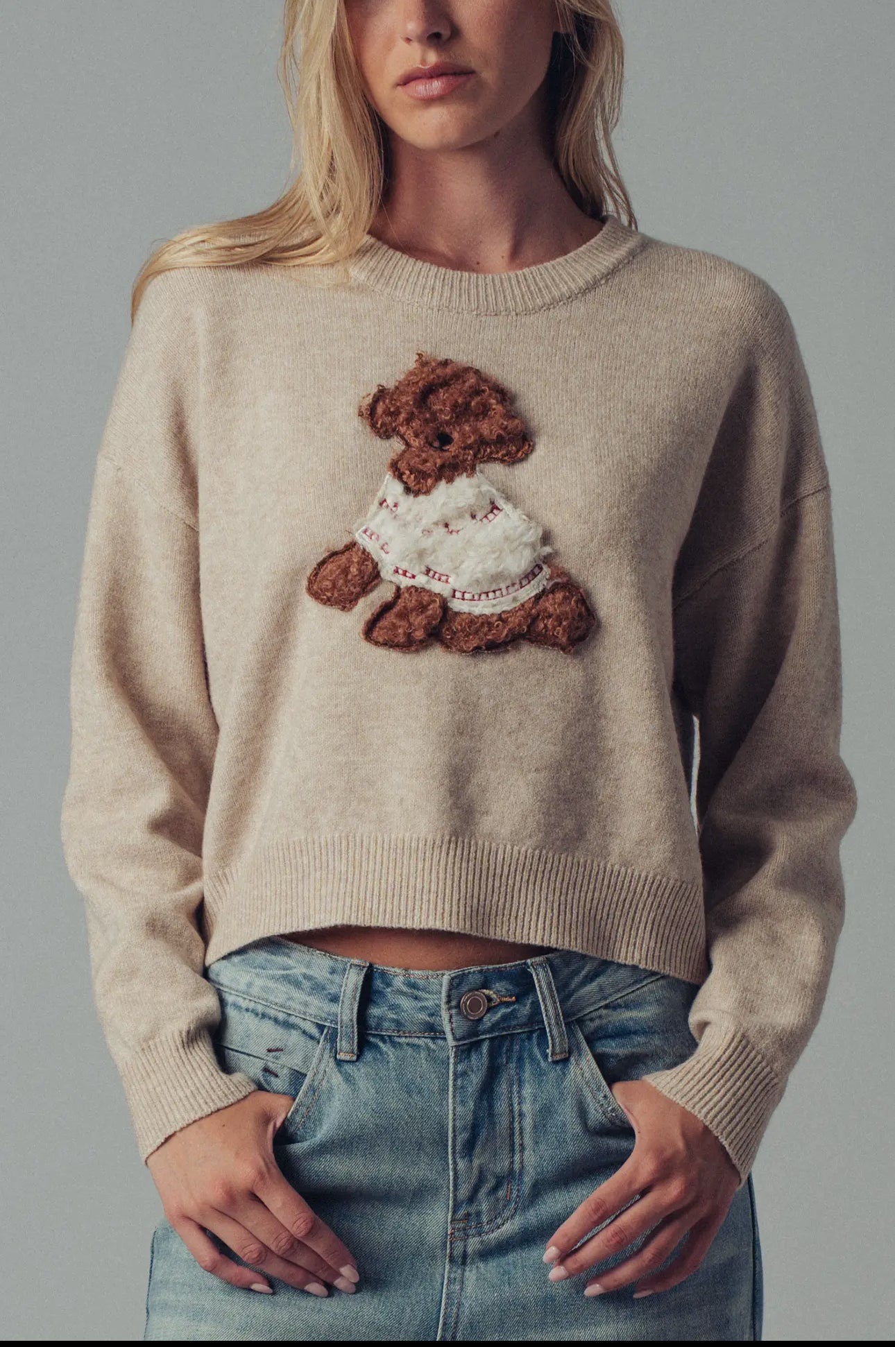 Whimsical Puppy Appliqué Knit Sweater