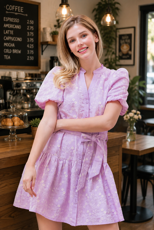 Bubble sleeve embroidered mini dress